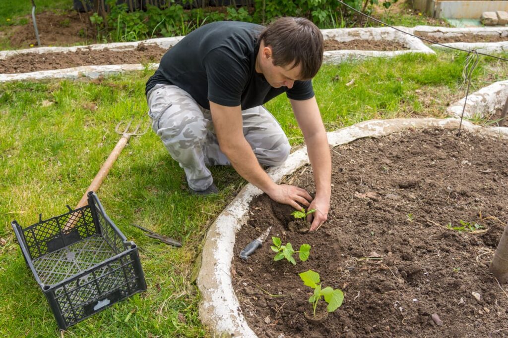 participant building independence and confidence in supported living in garden